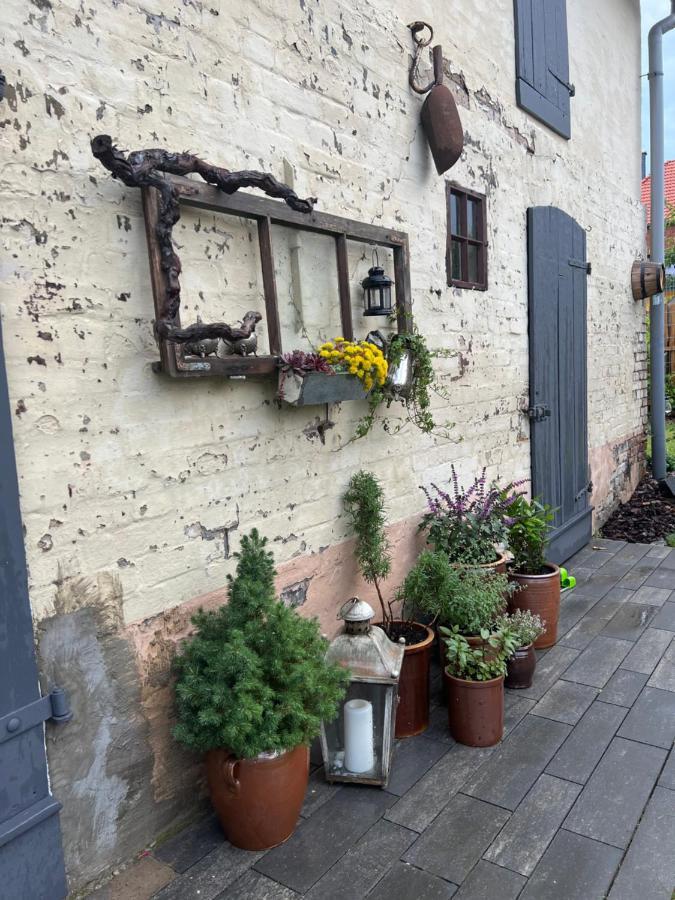 Wanderer Unterkunft Am Hexentanzplatz O Thale Exteriér fotografie